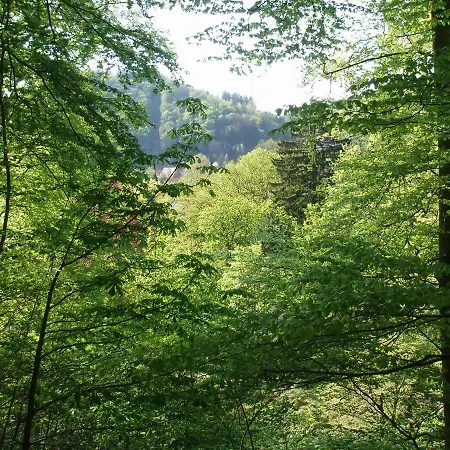 Pension/bed And Breakfast Pangea Alojamento de Acomodação e Pequeno-almoço *