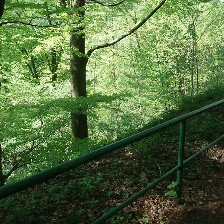 Pension/bed And Breakfast Pangea * Bad Lauterberg