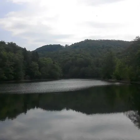 Alojamento de Acomodação e Pequeno-almoço Pension/bed And Breakfast Pangea *